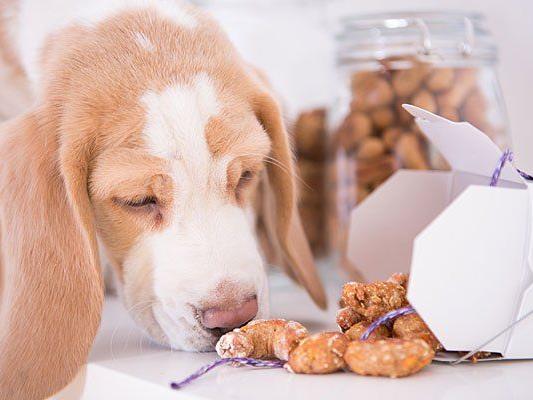 Kreative Hausmannskost für Österreichs Hunde leckerliPaket zu