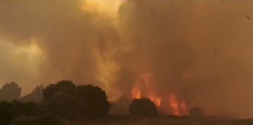 EUROPE-WEATHER/ITALY-FIRES
 © CRONACHE NUORESI via REUTERS