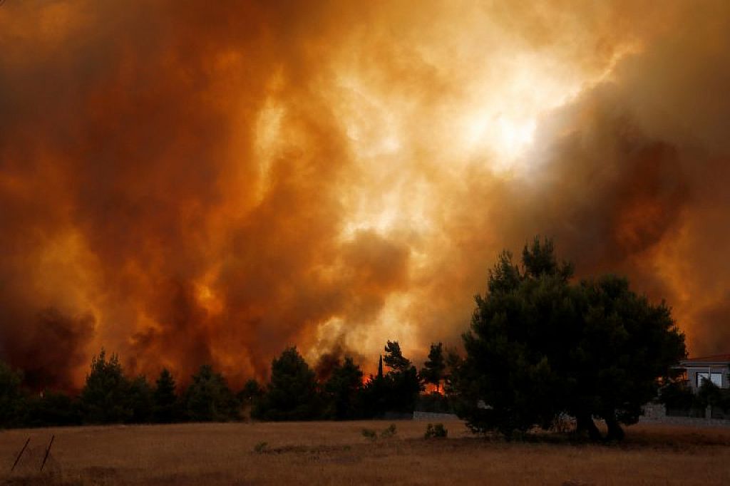 © APA/Reuters