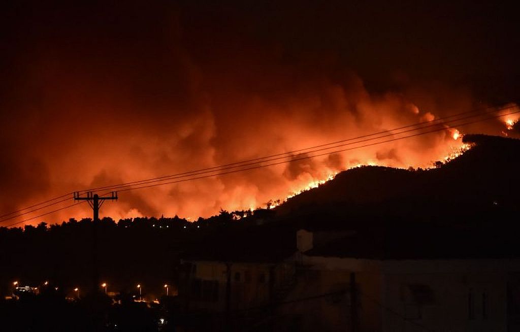 © APA/Reuters