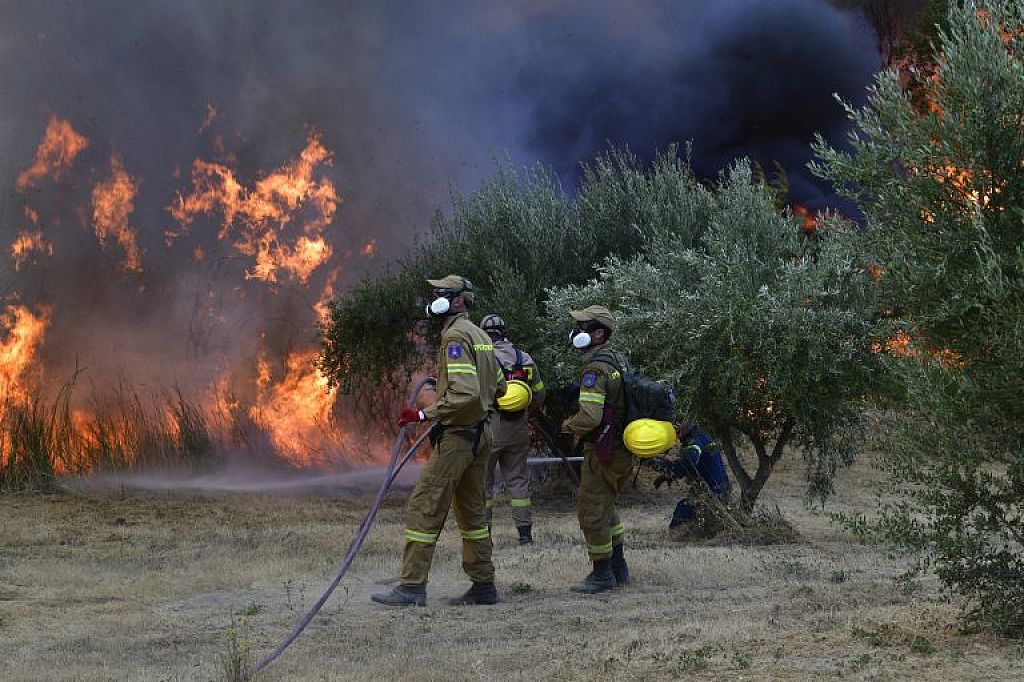 © APA/Reuters
