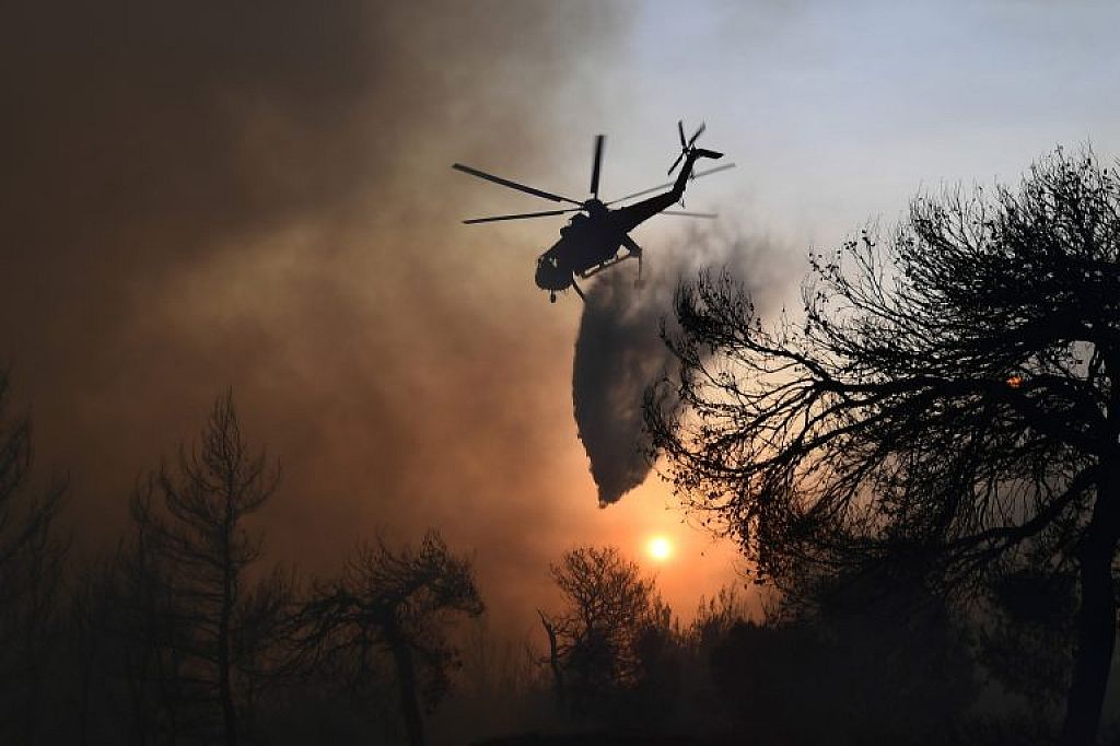 © APA/Reuters