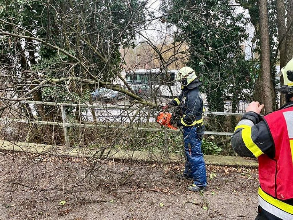 © APA/BFKDO AMSTETTEN