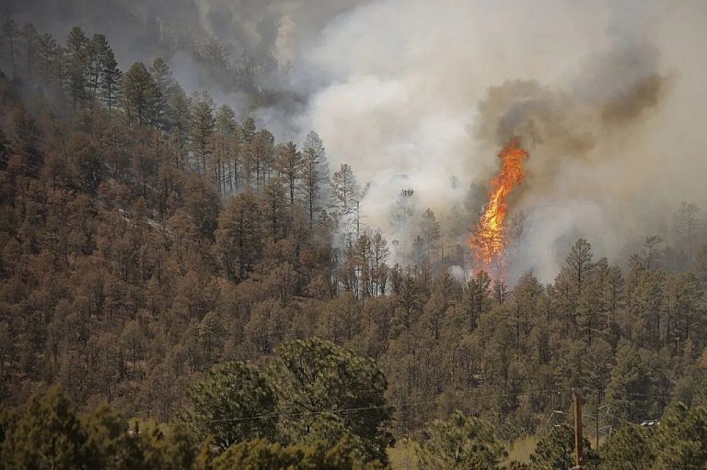 © AP, Ivan Pierre Aguirre/USA Today Network via REUTERS