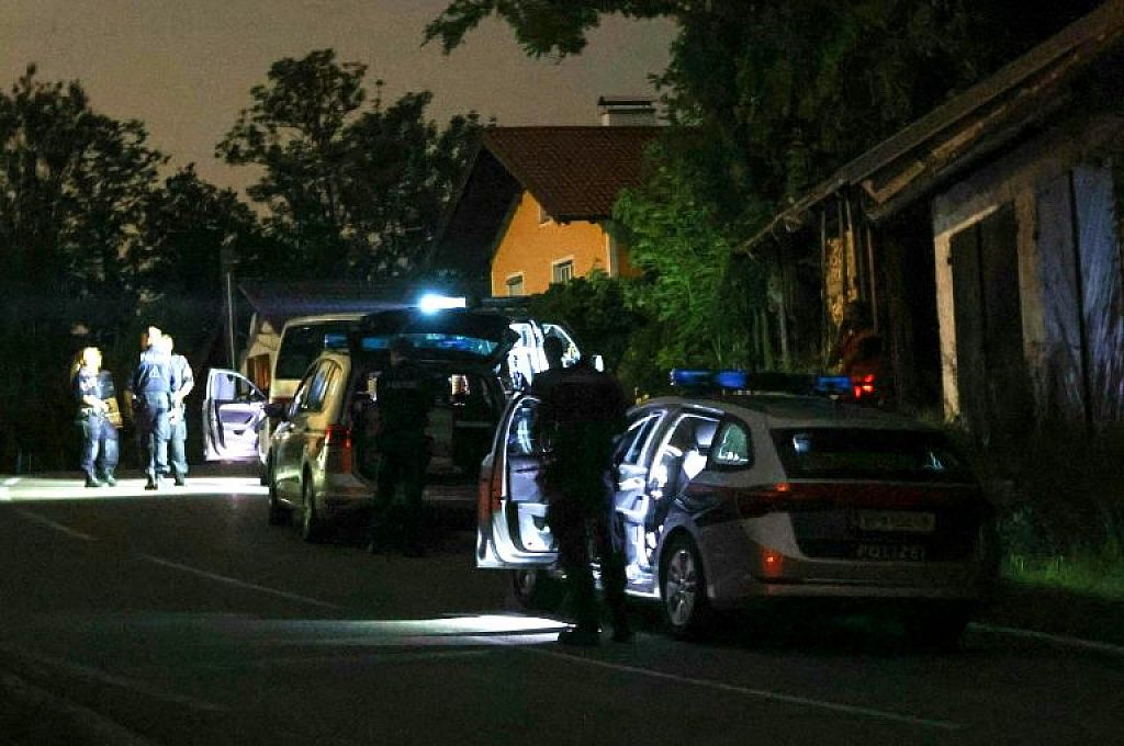 © APA/DANIEL SCHARINGER