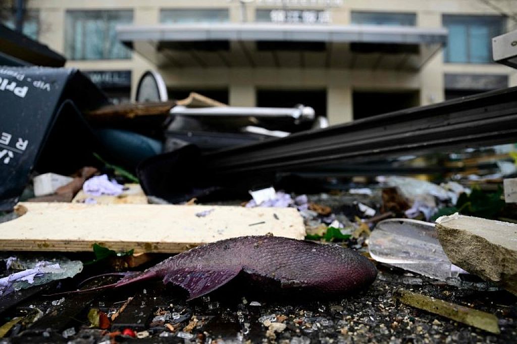 GERMANY-AQUARIUM-FISH-ACCIDENT
 © APA/REUTERS/AP