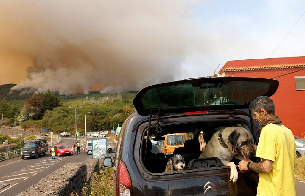 © Reuters; APA