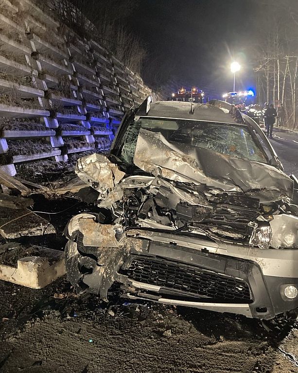 © APA/FREIWILLIGE FEUERWEHR ABTENAU