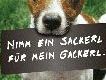 Bild: APA Bild: APA