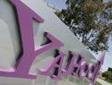 Bei Yahoo wackelt der Chefsessel Bei Yahoo wackelt der Chefsessel