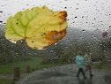 Regen und rutschige Straßen als große Gefahren Regen und rutschige Straßen als große Gefahren