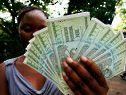 Simbabwe Dollar hat vorerst ausgedient Simbabwe Dollar hat vorerst ausgedient