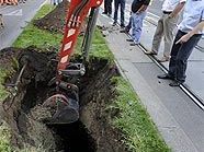 Der Baum "verschwand" von der Wiener Ringstraße