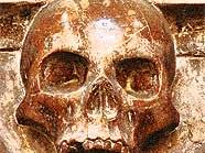 Hunderte Knochen fanden sich in der Grabkammer (Symbolbild).