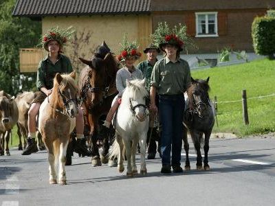 Jedes Jahr ein Erlebnis für Jung und Alt - Der Alptag in Schwarzenberg Jedes Jahr ein Erlebnis für Jung und Alt - Der Alptag in Schwarzenberg