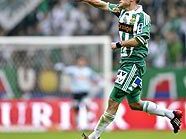 Rapid-Kapitän Hofmann jubelt nach dem Anschlusstreffer Rapid-Kapitän Hofmann jubelt nach dem Anschlusstreffer