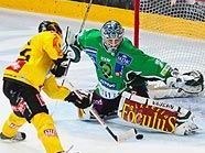 Capitals setzen Siegesserie gegen Laibach fort Capitals setzen Siegesserie gegen Laibach fort