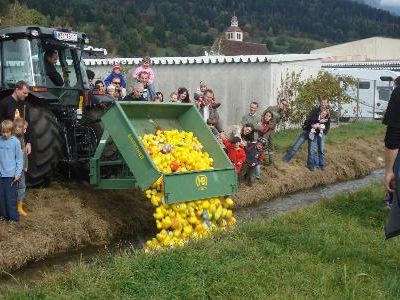 Rund 600 Enten waren am Start.. Rund 600 Enten waren am Start..