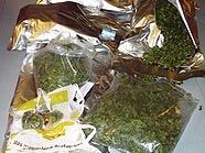 Sichergestelltes "Gras" im Wert von ca. 86.000 Euro Sichergestelltes "Gras" im Wert von ca. 86.000 Euro