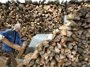 Viele Verletzungen bei Arbeiten mit Brennholz Viele Verletzungen bei Arbeiten mit Brennholz