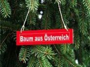 Bäume aus Plastik haben in Österreich keine Chance. Bäume aus Plastik haben in Österreich keine Chance.