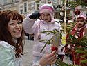 Immer öfter wird rund um den Christbaum gestritten