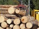 In der Gemeinde Bartholomäberg kann bald der Servitutsholzbedarf für das Jahr 2010 beantragt werden. In der Gemeinde Bartholomäberg kann bald der Servitutsholzbedarf für das Jahr 2010 beantragt werden.