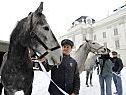 Neue Heimat in Wien Neue Heimat in Wien