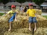 Auf die jungen Gäste wartet wieder jede Menge Spiel und Spaß. Auf die jungen Gäste wartet wieder jede Menge Spiel und Spaß.