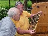 Der Bienenzuchtverein lädt zum "Tag des offenen Bienenstocks" Der Bienenzuchtverein lädt zum "Tag des offenen Bienenstocks"
