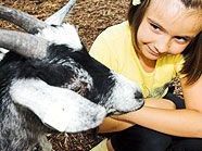 Tierquälerei entsteht meist nicht aus Absicht, sondern aus Unwissenheit. Tierquälerei entsteht meist nicht aus Absicht, sondern aus Unwissenheit.