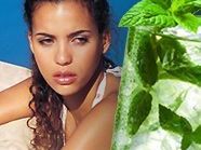 Auf in den hoffentlich bald startenden Sommer mit einem Mojito Auf in den hoffentlich bald startenden Sommer mit einem Mojito