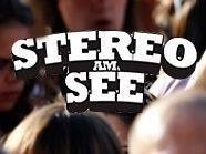 Das Stereo am See Festival überzeugt auch dieses Jahr durch sein Line-Up