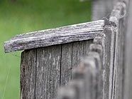 Es begann am Gartenzaun ... (Symbolbild) Es begann am Gartenzaun ... (Symbolbild)