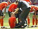 Sorge um Robben war weitgehend unbegründet Sorge um Robben war weitgehend unbegründet