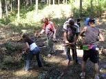 "Carla Arbeitsprojekt" der Caritas Vorarlberg: Waldpflege "Carla Arbeitsprojekt" der Caritas Vorarlberg: Waldpflege