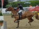 CSN-B* Springturnier mit internationaler Beteiligung bei den 44. Montafoner Pferdesporttagen auf der Reitanlage Schruns-Tschagguns. CSN-B* Springturnier mit internationaler Beteiligung bei den 44. Montafoner Pferdesporttagen auf der Reitanlage Schruns-Tschagguns.