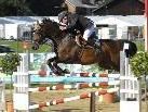 Die 44. Pferdesporttage Montafon werden vom Reitclub Montafon veranstaltet. Die 44. Pferdesporttage Montafon werden vom Reitclub Montafon veranstaltet.