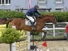 Im Rahmen der 44. Pferdesporttage Montafon gingen auf der Reitanlage am Freitag Vormittag und Mittag die Bewerbe 3 und 4 (Bild) in Szene. Im Rahmen der 44. Pferdesporttage Montafon gingen auf der Reitanlage am Freitag Vormittag und Mittag die Bewerbe 3 und 4 (Bild) in Szene.