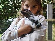 Kaninchenglück und Streichelspaß am Kinderbauernhof der Stadt Wien