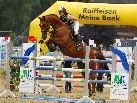 Reitsport vom Feinsten im Montafon. Reitsport vom Feinsten im Montafon.