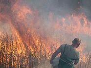 Waldbrände nahe der Stadt Balashikha, nur 15 Kilometer vor Moskau Waldbrände nahe der Stadt Balashikha, nur 15 Kilometer vor Moskau