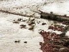Bei extremem Hochwasser droht ein Dammbruch wie im August 1987 in Fußach. Bei extremem Hochwasser droht ein Dammbruch wie im August 1987 in Fußach.