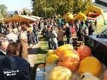 Riesen Andrang und Riesenkürbisse - der Markttag in Fußach war ein Erfolg. Riesen Andrang und Riesenkürbisse - der Markttag in Fußach war ein Erfolg.