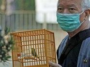 Behörden erhöhen Alarmstufe Behörden erhöhen Alarmstufe