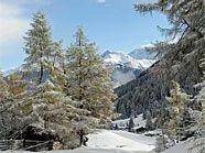 Der Winter hält nun wirklich Einzug in Österreich.