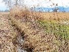 Die Gräben entlang der Streuewiesen sollen auch in trockenen Sommern ausreichend Wasser enthalten. Die Gräben entlang der Streuewiesen sollen auch in trockenen Sommern ausreichend Wasser enthalten.