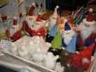 Schönes und Gutes beim Adventmarkt. Schönes und Gutes beim Adventmarkt.