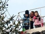 Christbaumkugeln für den Wolfurter Weihnachtsbaum Christbaumkugeln für den Wolfurter Weihnachtsbaum