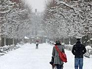 Geht sich am 24. Dezember ein Weihnachtsspaziergang im verschneiten Schönbrunn aus?